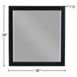 Meridian Furniture Zayne Contemporary Mirror in Rich Black Finish