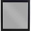 Meridian Furniture Zayne Contemporary Mirror in Rich Black Finish