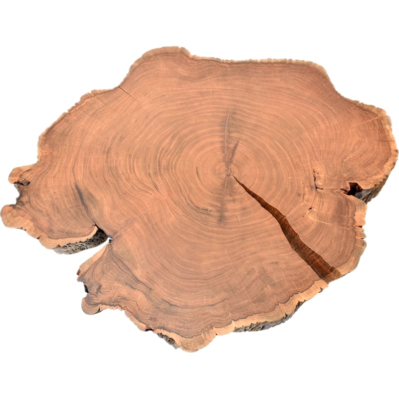 Meridian Furniture Woodland Coffee Table Meridian Furniture Woodland Coffee Table