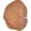 Meridian Furniture Woodland Live Edge Acacia Wood Top End Table