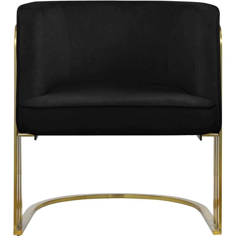 Meridian Furniture Rays Black Velvet Upholstered Accent Chair