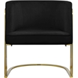 Meridian Furniture Rays Black Velvet Upholstered Accent Chair