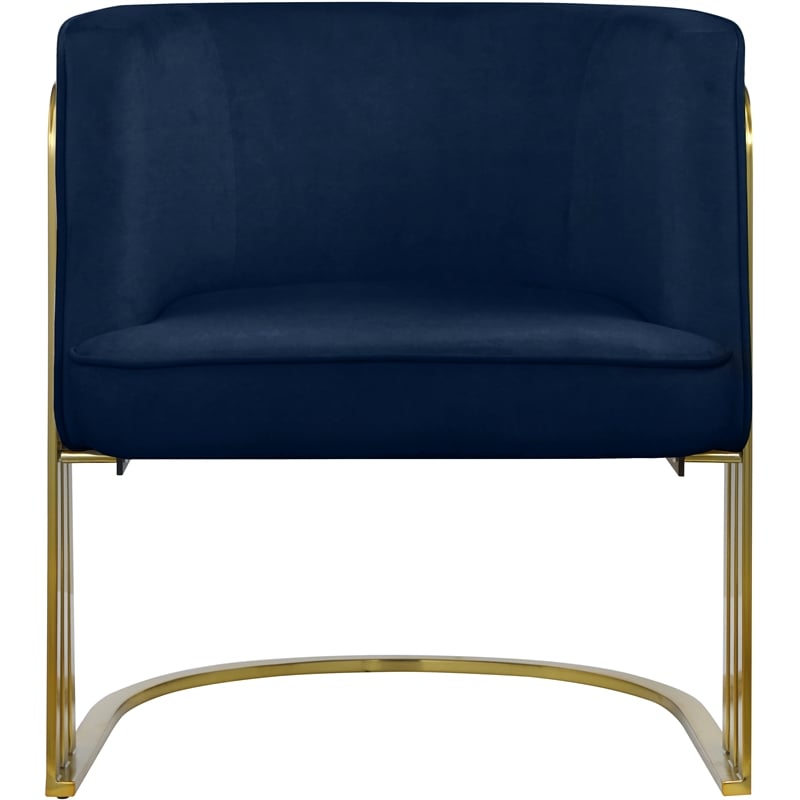 Meridian Furniture Rays Navy Velvet Upholstered Accent Chair