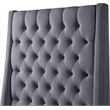 Meridian Furniture Fritz Gray Velvet Queen Bed