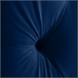 Meridian Furniture Fritz Navy Velvet Queen Bed