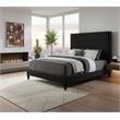 Meridian Furniture Harlie Black Velvet Queen Bed
