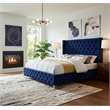 Meridian Furniture Savan Navy Velvet Queen Bed