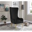 Meridian Furniture Alexander Black Velvet Accent Chair