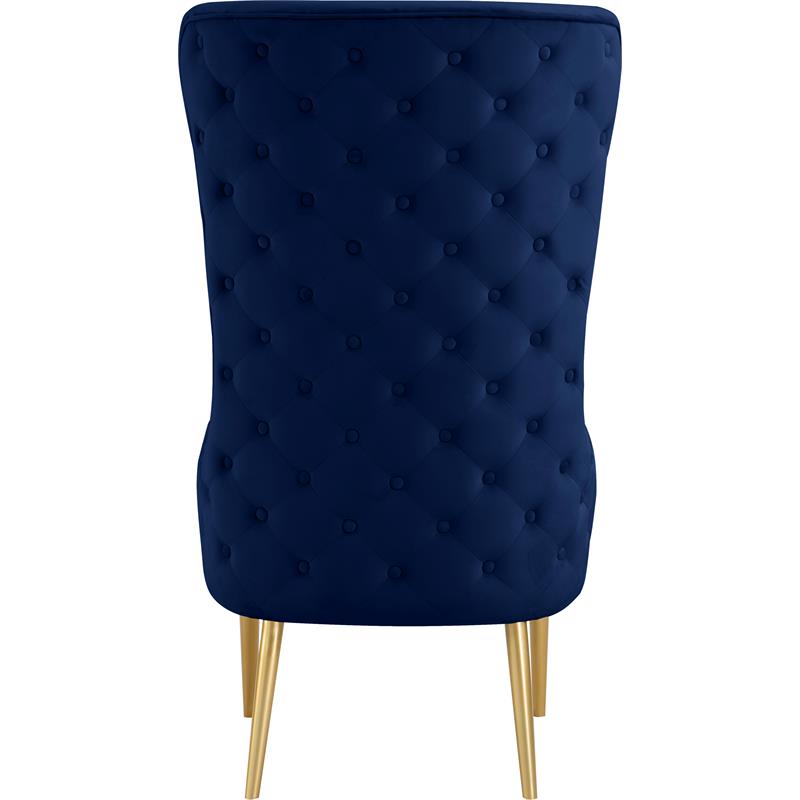 Meridian Furniture Alexander Navy Velvet Accent Chair