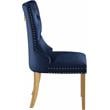 Meridian Furniture Carmen Navy Velvet Dining Chairs (Set of 2)