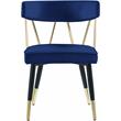 Meridian Furniture Rheingold Navy Velvet Dining Chair (Set of 2)