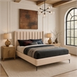 Meridian Furniture Nadia Pink Velvet Queen Bed