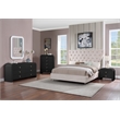 Meridian Furniture Artisto Black Mirror