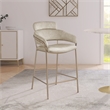Meridian Furniture Yara Stone Velvet Counter Stool