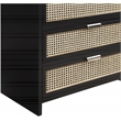 Meridian Furniture Sage Black Chest with Natural Cane Drawer Front