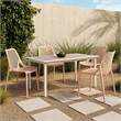 Meridian Furniture Mykonos Pink Outdoor Patio Dining Chair (Set of 4)