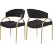 Meridian Furniture Privet Black Dining Chair (Set of 2)