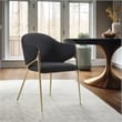 Meridian Furniture Nial Black Dining Chair (Set of 2)
