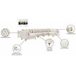 Meridian Furniture Tremblay Velvet Modular Sectional/Pillow in Cream/Gold-Chrome