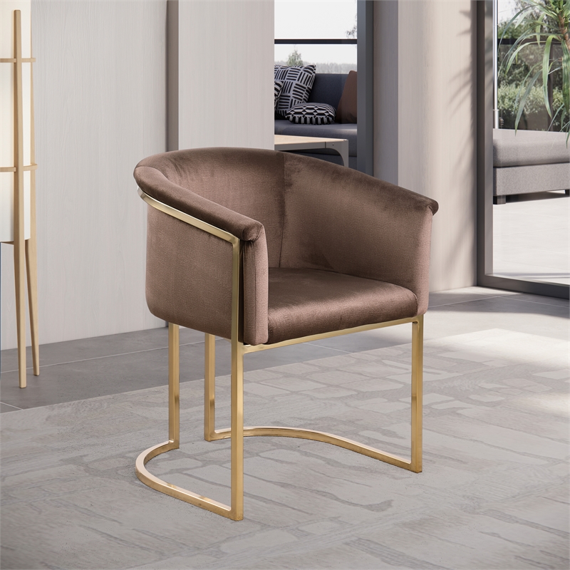 Meridian Furniture Tierra Brown Velvet Dining Chair