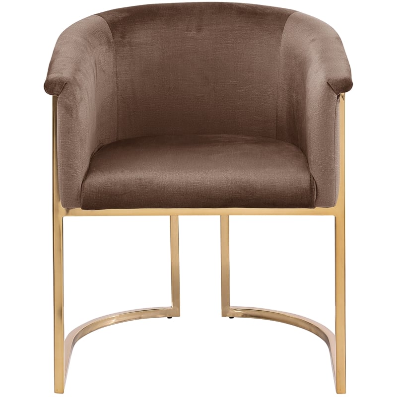 Meridian Furniture Tierra Brown Velvet Dining Chair