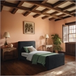 Meridian Furniture Sloan Black Velvet Twin Bed