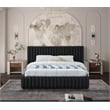 Meridian Furniture Nico Black Velvet Queen Bed