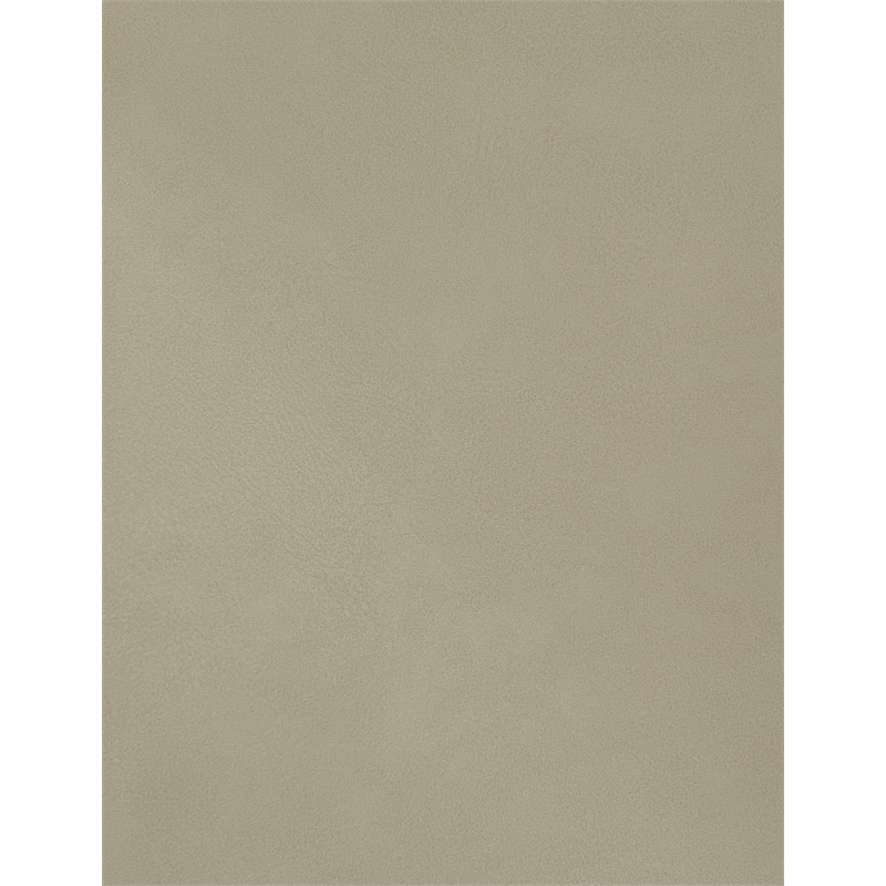 Meridian Furniture Hudson Beige Vegan Leather Twin Trundle Bed