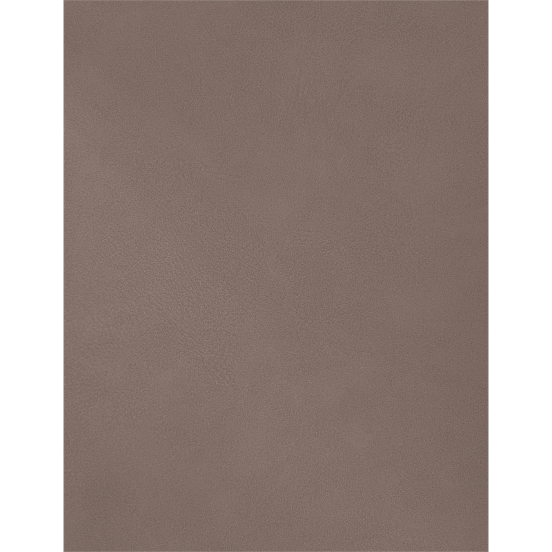 Meridian Furniture Hudson Brown Vegan Leather Twin Trundle Bed