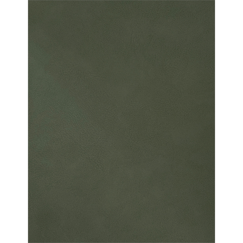 Meridian Furniture Hudson Green Vegan Leather Twin Trundle Bed