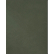 Meridian Furniture Hudson Green Vegan Leather Twin Trundle Bed