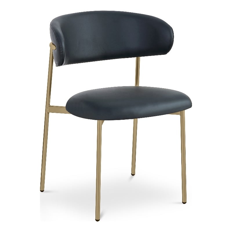 Meridian Furniture Lupita Black Vegan Leather Dining Chair (Set of 2)