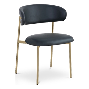 Meridian Furniture Lupita Black Vegan Leather Dining Chair (Set of 2)