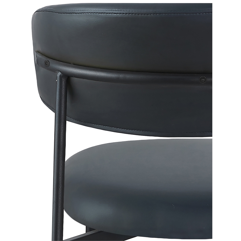 Meridian Furniture Lupita Black Vegan Leather Dining Chair (Set of 2)
