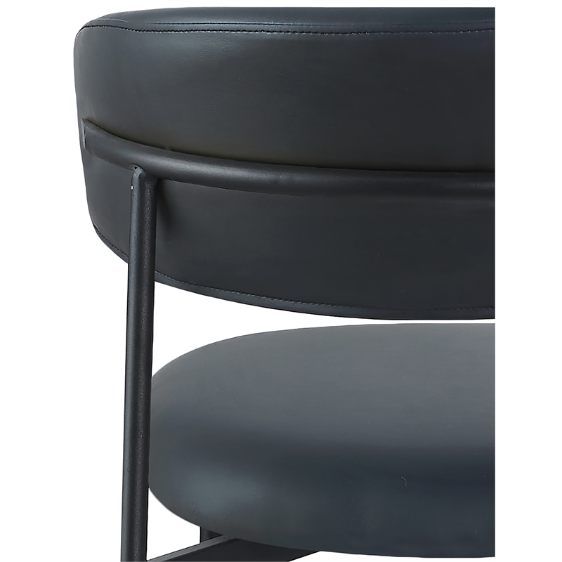 Meridian Furniture Lupita Black Vegan Leather Dining Chair (Set of 2)