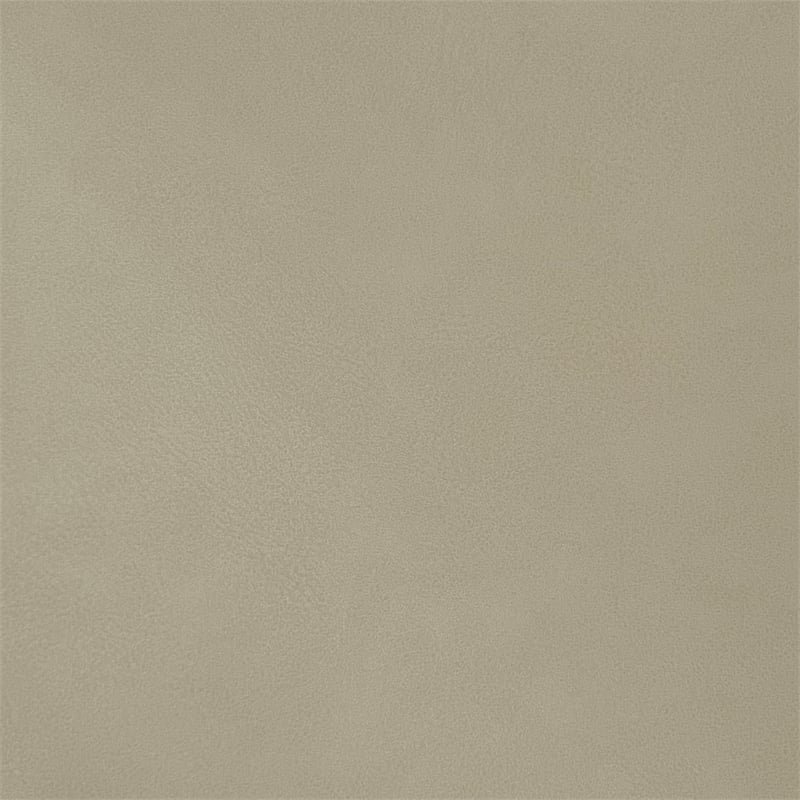 Meridian Furniture Gallo Beige Vegan Leather Queen Bed