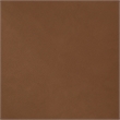 Meridian Furniture Gallo Cognac Vegan Leather Twin Bed