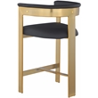 Meridian Furniture Romeo Black Vegan Leather Counter Stool (Set of 2)