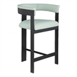 Meridian Furniture Romeo Mint Green Vegan Leather Counter Stool (Set of 2)
