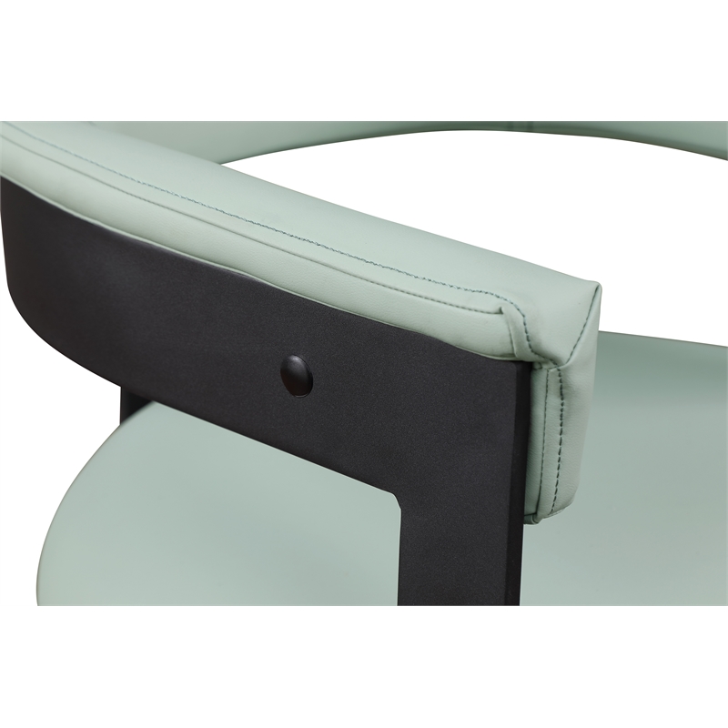 Meridian Furniture Romeo Mint Green Vegan Leather Dining Chair (Set of 2)