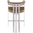 Meridian Furniture Marcello Brown Velvet Counter Stool (Set of 2)