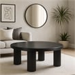Meridian Furniture Hayden Black Coffee Table