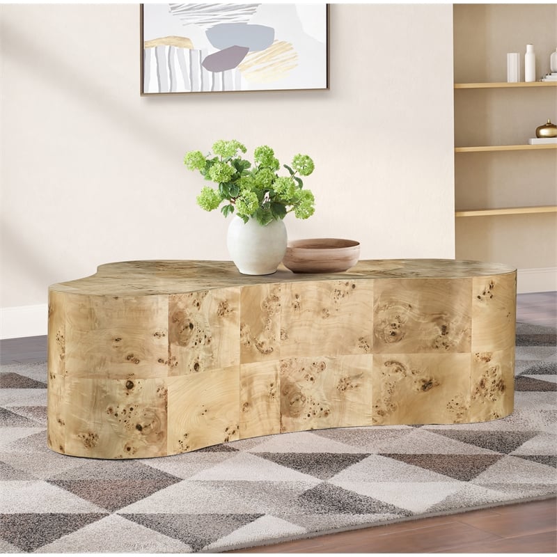 Meridian Furniture Zaire Burl Coffee Table