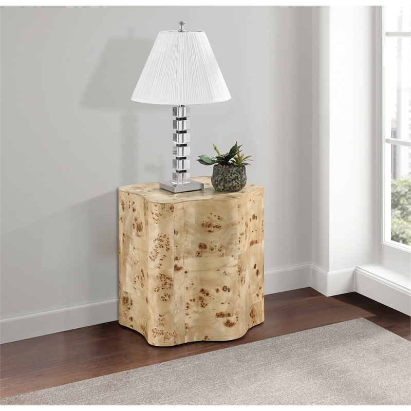 Meridian Furniture Zaire Burl Wood End Table