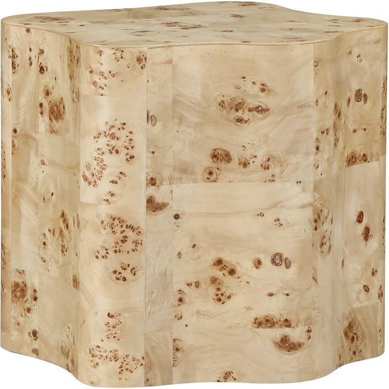 Meridian Furniture Zaire Burl Wood End Table