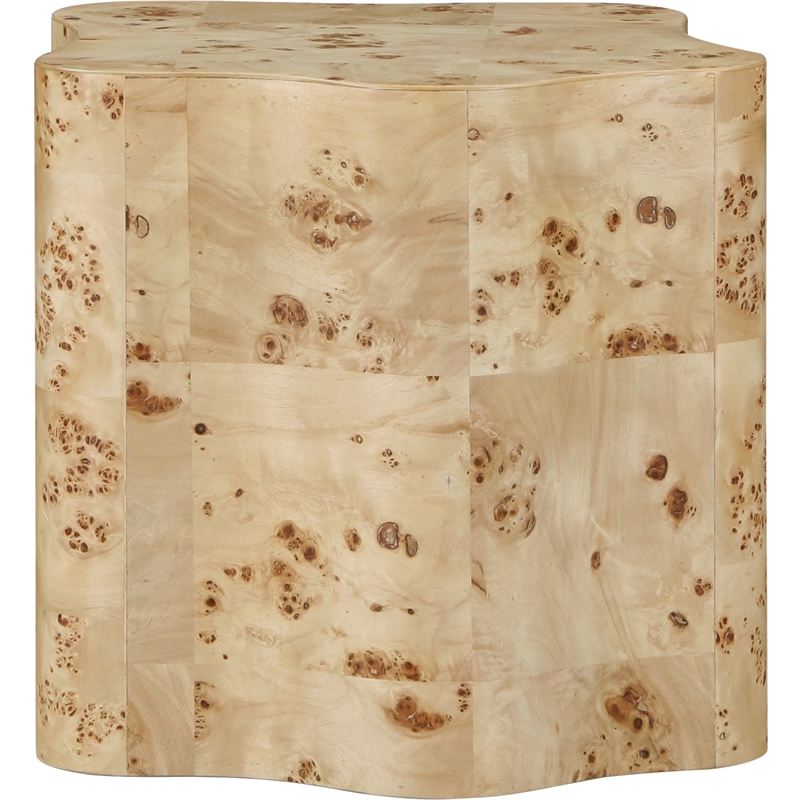 Meridian Furniture Zaire Burl Wood End Table