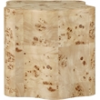 Meridian Furniture Zaire Burl Wood End Table