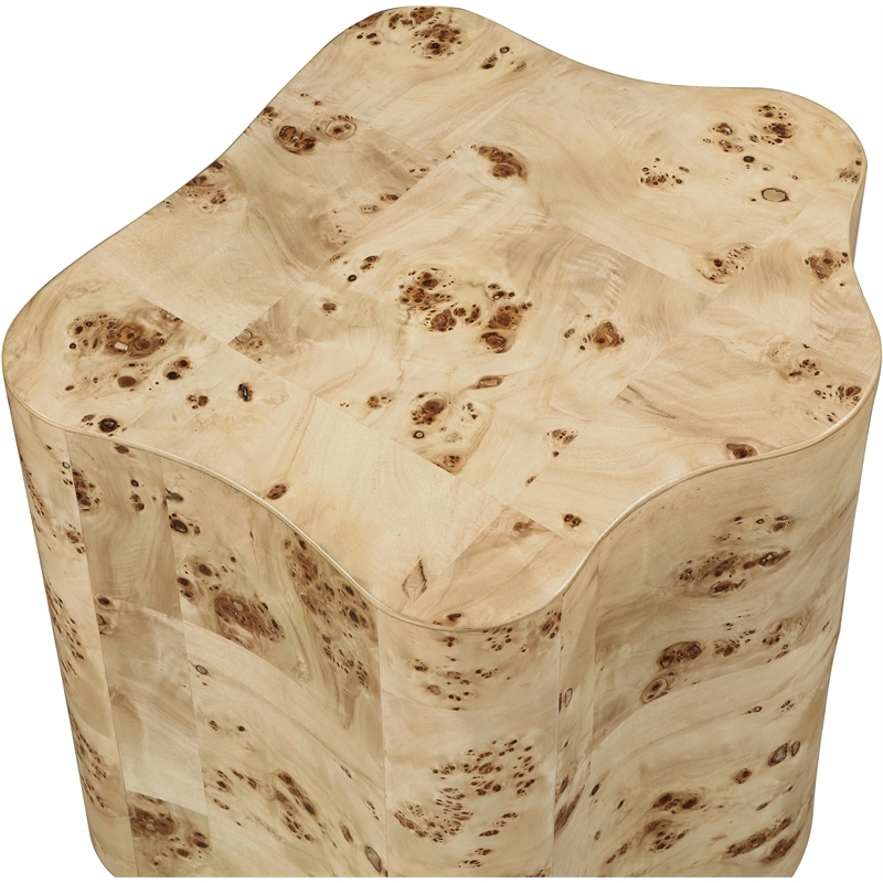 Meridian Furniture Zaire Burl Wood End Table