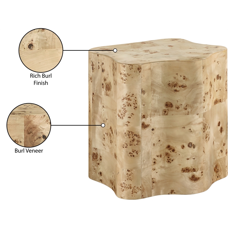 Meridian Furniture Zaire Burl Wood End Table