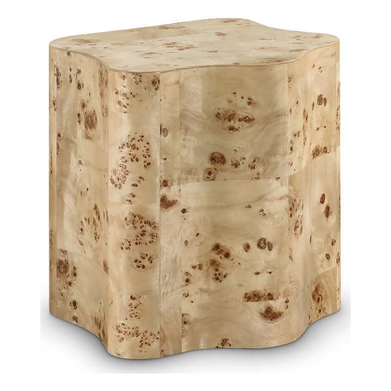 Meridian Furniture Zaire Burl Wood End Table